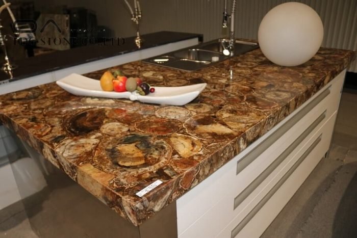 Petrified Wood Quartzite Kitchen Countertops - Image 3