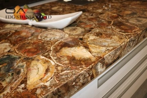 Petrified Wood Quartzite Kitchen Countertops